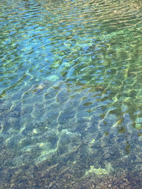 istock Water sea clear turquoise beautiful seascape. Water surface with ripples. 1481227976