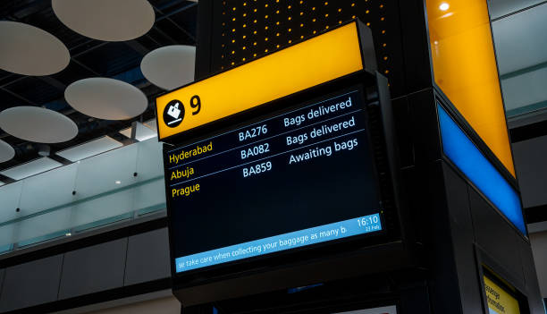 istock Airport flight and baggage carousel information screen 1481228088