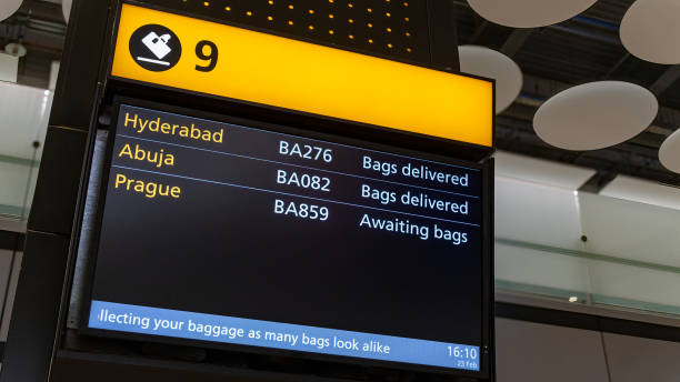 istock Airport flight and baggage carousel information screen 1481229716