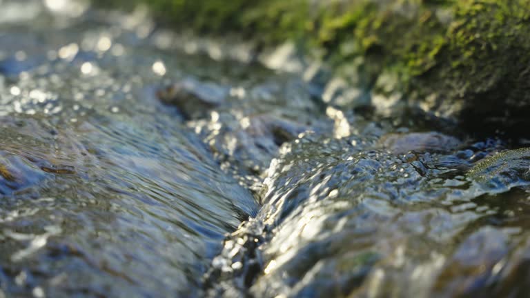 SLO MO Close-up of Clear Water Flowing Between Rocks