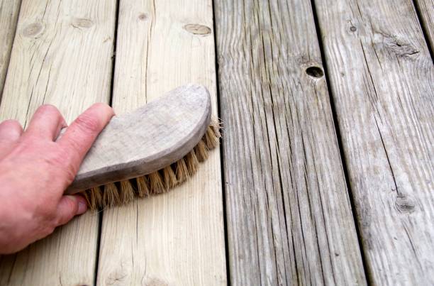 istock How to clean the veranda, getting away from gray tree. 1481236144