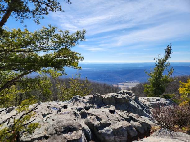 istock Black Mountain Outlook (wide) 1481240760