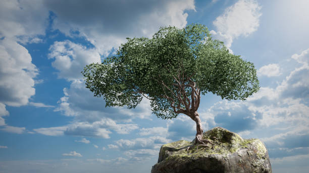 istock Lone tree on the rock on the windy day, 3d render 1481240894