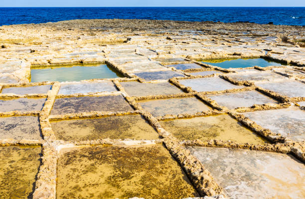 istock Natural Salt Pans under the Maltese Sun 1481242027