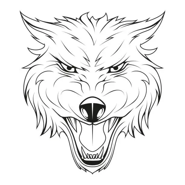 Vector illustration of Wolf. Vector illustration of an angry animal. Sketch dog for t-shirt design