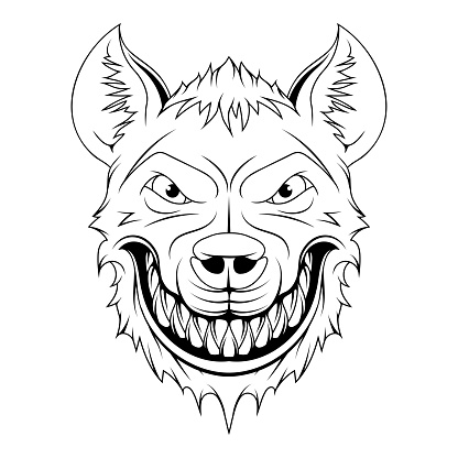 Hyena. Vector illustration of angry animal. Sketch african spotted wild animal.
