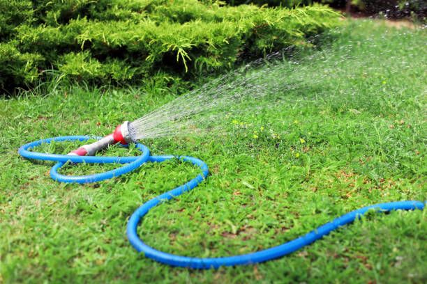 istock Water spraying from hose on green grass outdoors 1481246111