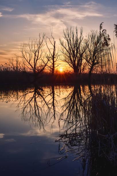 istock Beautiful summer evening landscape. 1481248173