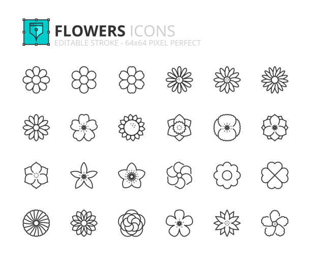 illustrations, cliparts, dessins animés et icônes de icônes de ligne sur les fleurs. vector de trait modifiable 64x64 pixels parfait - primrose