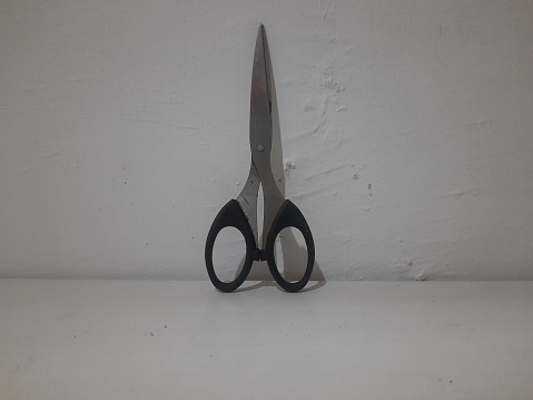 Black handle stainless steel scissors
