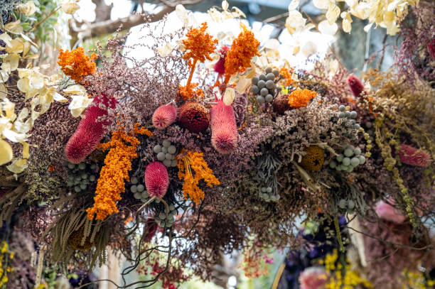 istock Autumn colors shrubs and plants with orange theme making into background 1481254410