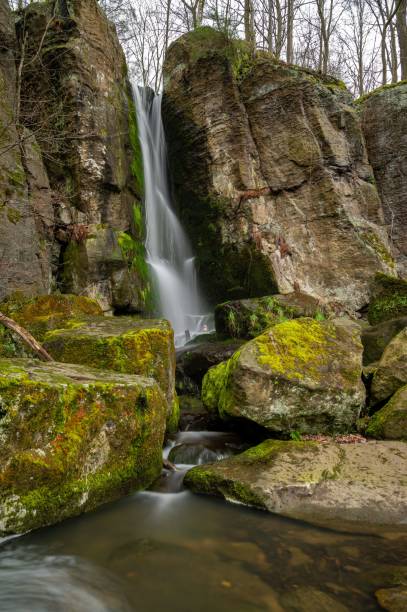 istock Tranquil landscape featuring a lush green forest with a majestic waterfall cascading over the rocks 1481254859