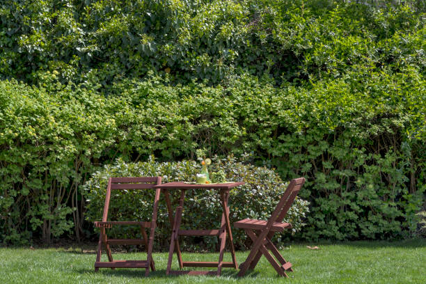 istock Garden,Healthy green,Detox 1481255063
