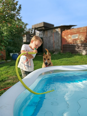 The child blows bubbles in the pool water through the hose and the dog watches him with curiosity. Staffordshire terrier and baby play happily in the water by the pool. Concept child and dog friends..