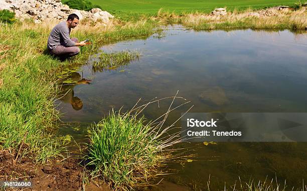 Messen Der Wasserqualität Stockfoto und mehr Bilder von Wasser - Wasser, Wissenschaftliches Experiment, Qualitätsprüfer