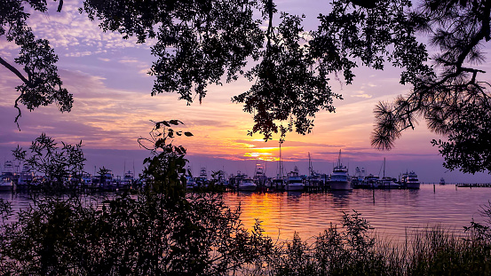 Baytowne Marina Sunset seen through the trees from a walking trail, San Destin, Florida