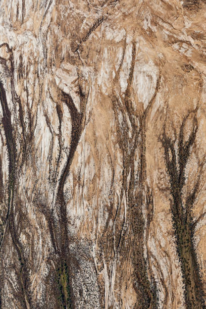 istock Kati Thanda-Lake Eyre, outback South Australia, Australia 1481264996