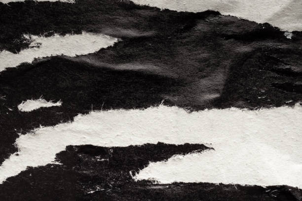 istock Old grunge ripped torn black paper poster surface texture background 1481267770