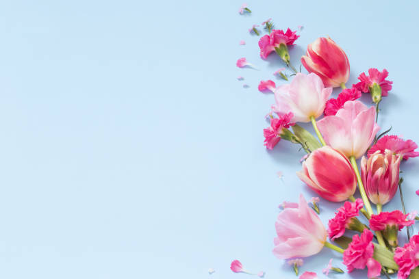 istock beautiful spring flowers on blue background 1481267861