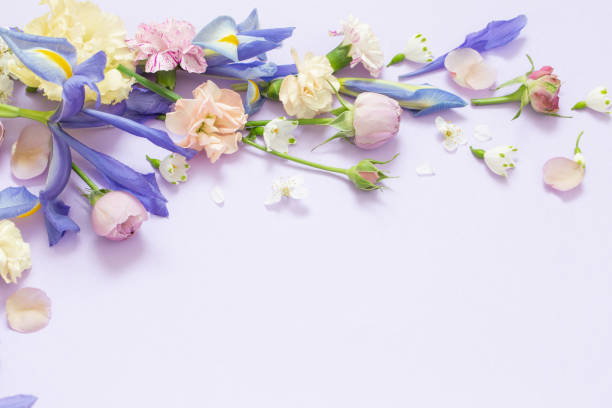 istock beautiful spring flowers on paper background 1481267865