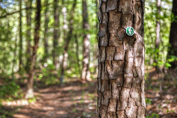 Nature Trail Marker stock photo