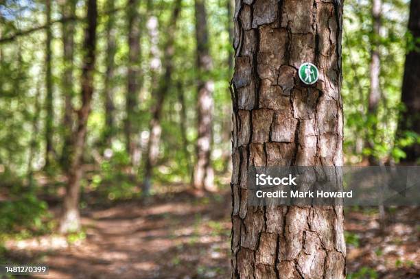 Nature Trail Marker Stock Photo - Download Image Now - Defocused, Hiking, Color Image