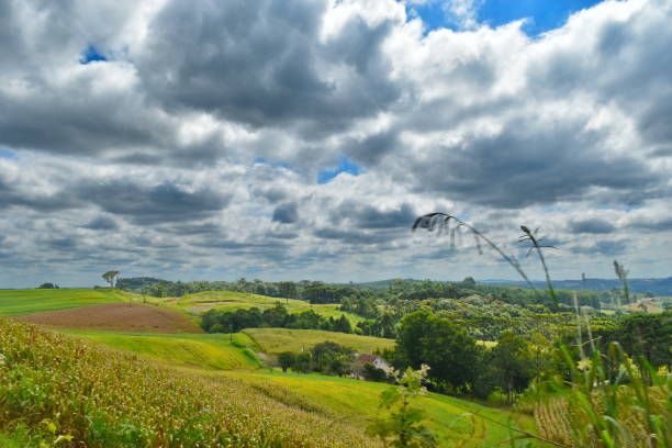 Rural Landscape stock photo