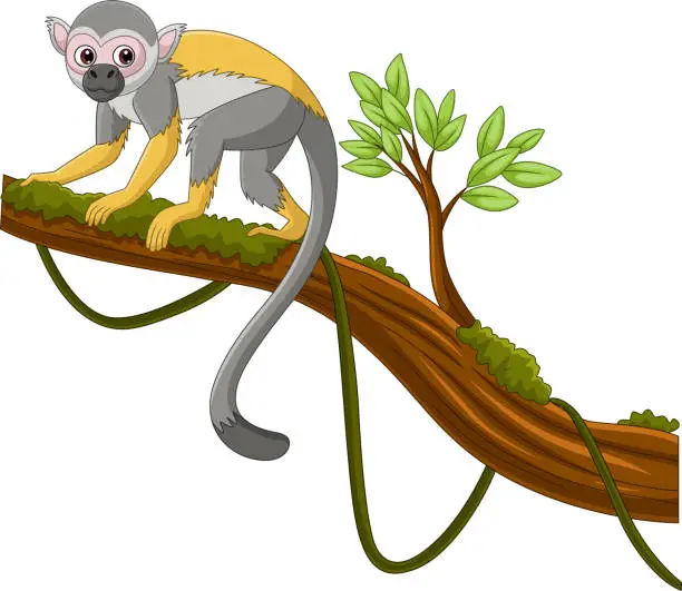 Vector illustration of Cute capuchin monkey on a tree branch