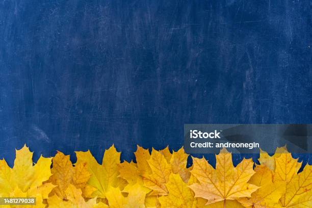 Autumn Leaves Frame On Blue Background Top View Fall Border Yellow And Orange Leaves Vintage Structure Table Copy Space For Text Stock Photo - Download Image Now