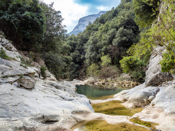 istock Sant Aniol Stream in Catalonia, Spain 1481279051