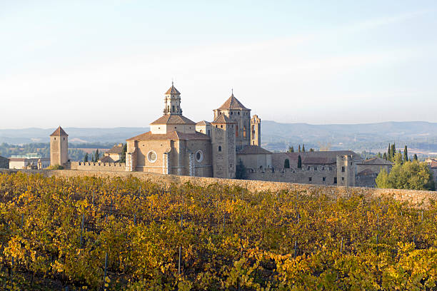 istock Monastery of Santa Maria de Poblet 148128222