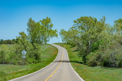 A country road bordered by lush green fields in East Texas in springtime.