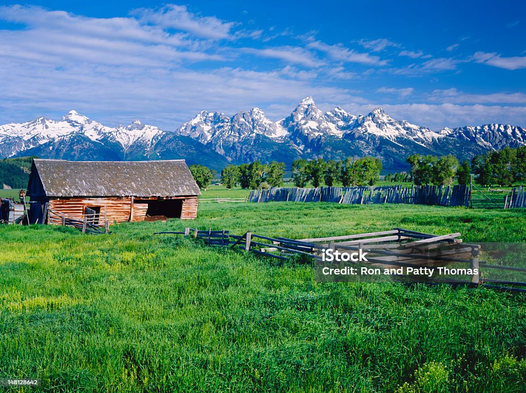 Parco Nazionale del Grand Teton - Foto stock royalty-free di Capanna di legno