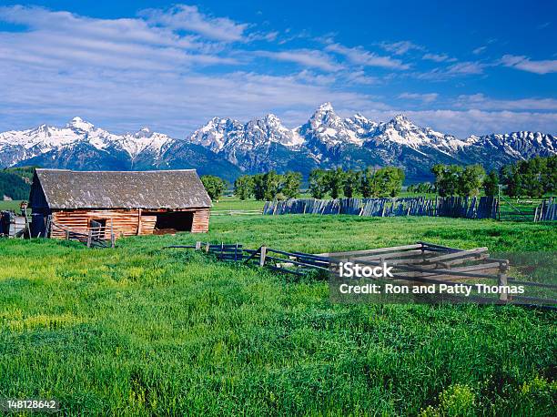 Parco Nazionale Del Grand Teton - Fotografie stock e altre immagini di Capanna di legno - Capanna di legno, Estate, Ambientazione esterna