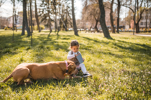 Portrait of an adorable three-year-old girl enjoys playing in the park with her dog while eating popcorn