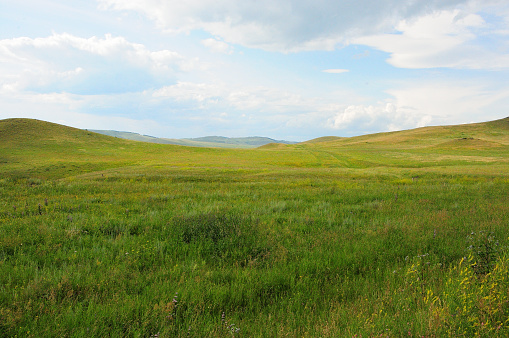 Endless hilly steppe with tall grass at the foot of a mountain range under a bright and cloudy summer sky. Khakassia, Siberia, Russia.