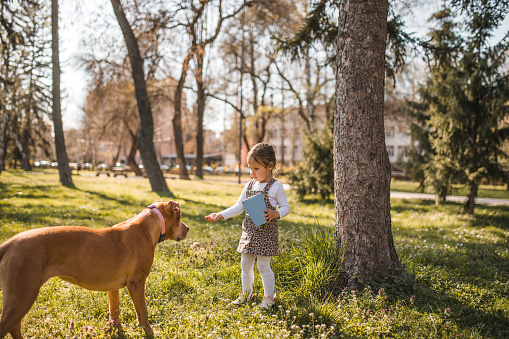 An adorable three-year-old girl enjoys playing in the park with her dog while eating popcorn