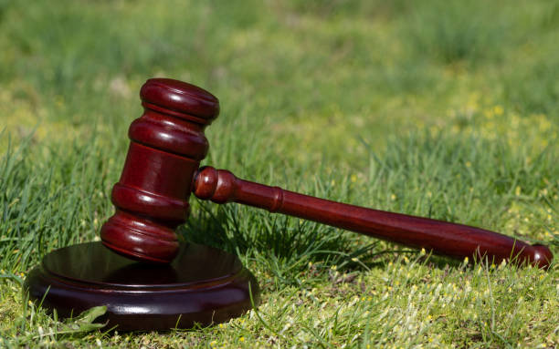 istock Judge's gavel on the grass on a sunny day 1481289390