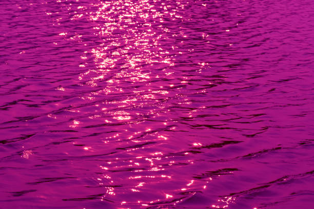 Defocus blurred transparent purple colored clear calm water surface texture with splash, bubble. Shining purple water ripple background. Surface of water in swimming pool. Purple bubble water shine.