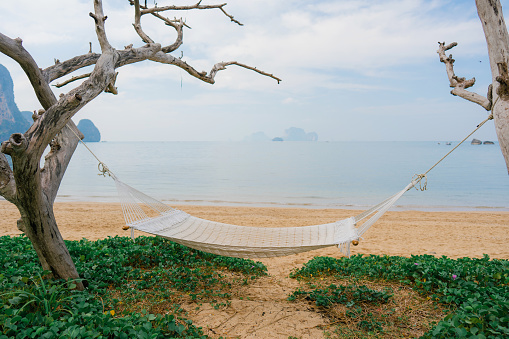 Scenic view of hammock on the  idyllic beach