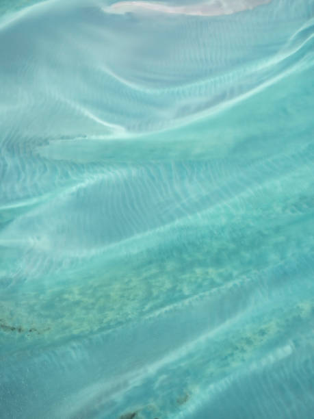 istock Aerial view of sand ripples 1481295368