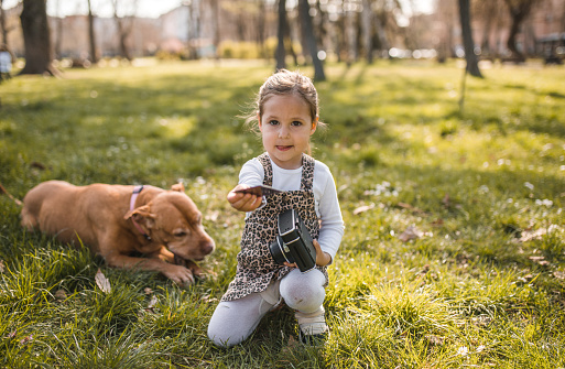 A cute little girl uses an instant camera to take a photo of her dog Stafford in the park