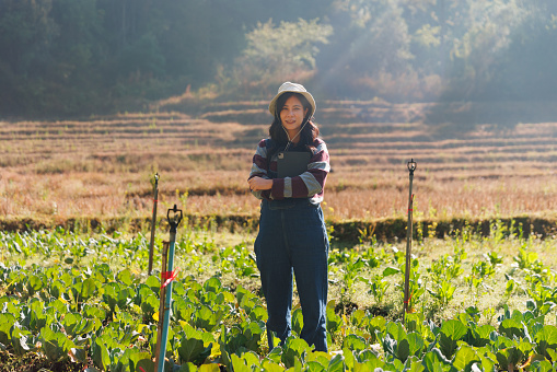 Portrait Asian woman farmer vegetable farm