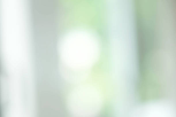 istock Bokeh blur tree nature background with sunlight on summer. Spring season. 1481302801