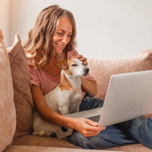 istock Cheerful woman using silver laptop 1481304905