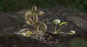 pflanzensprossenwachstum-nahaufnahme-makro-wachstum-geld-dollarzeichen.jpg?b=1&s=170x170&k=20&c=BB6q25yEGG4JP0vX3Y9qRKWam0S42_qHdy561pKX8OI=