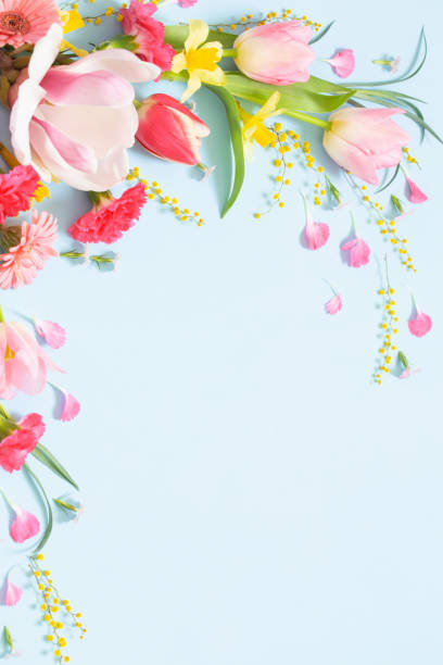 istock beautiful spring flowers on blue background 1481305726