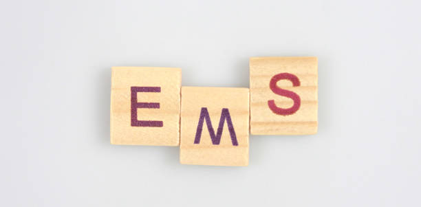 istock Wooden cube with the letter from word 1481309529