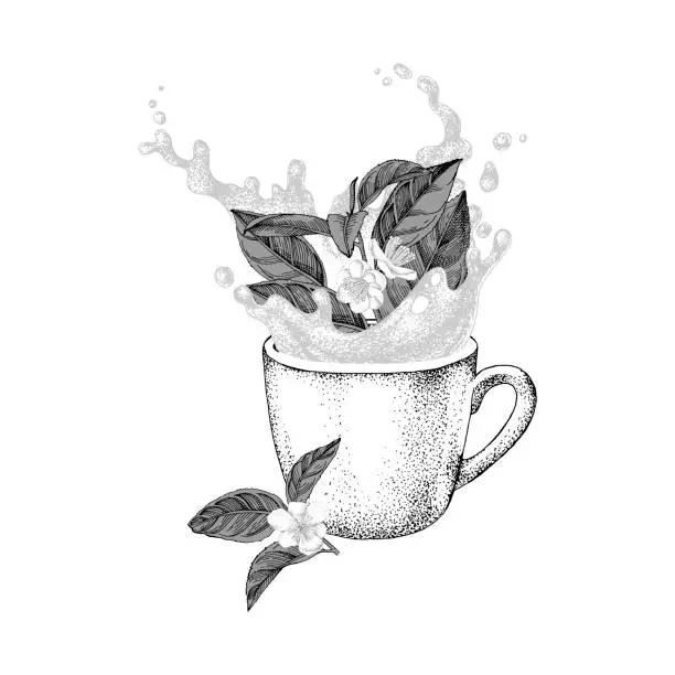 Vector illustration of Hand drawn cup with splash and falling tea plant branch