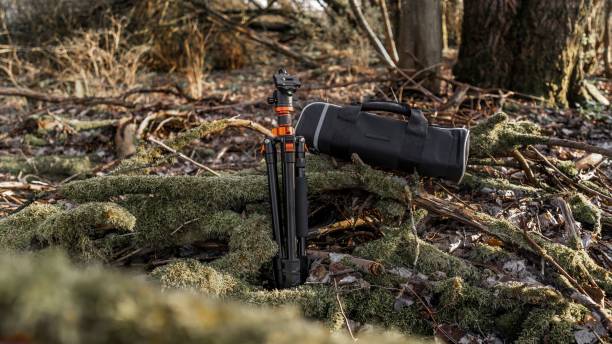 istock Black tripod with a protective carrying case standing in a wooded area. 1481312765